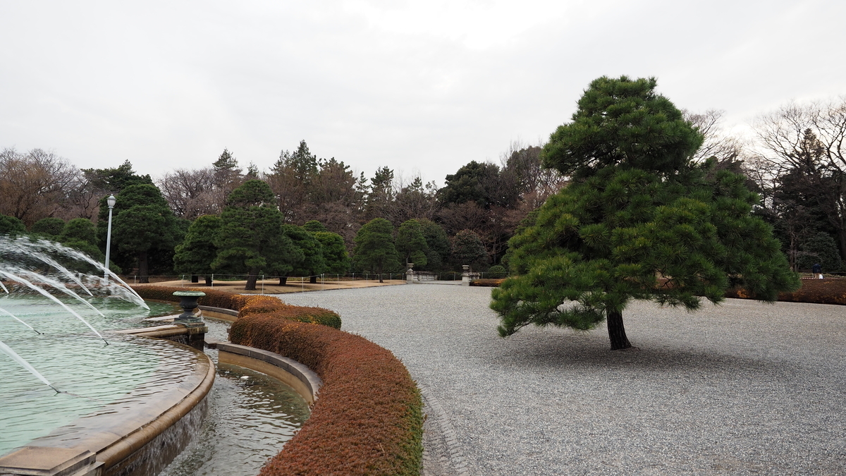 f:id:irukas980:20200215215135j:plain