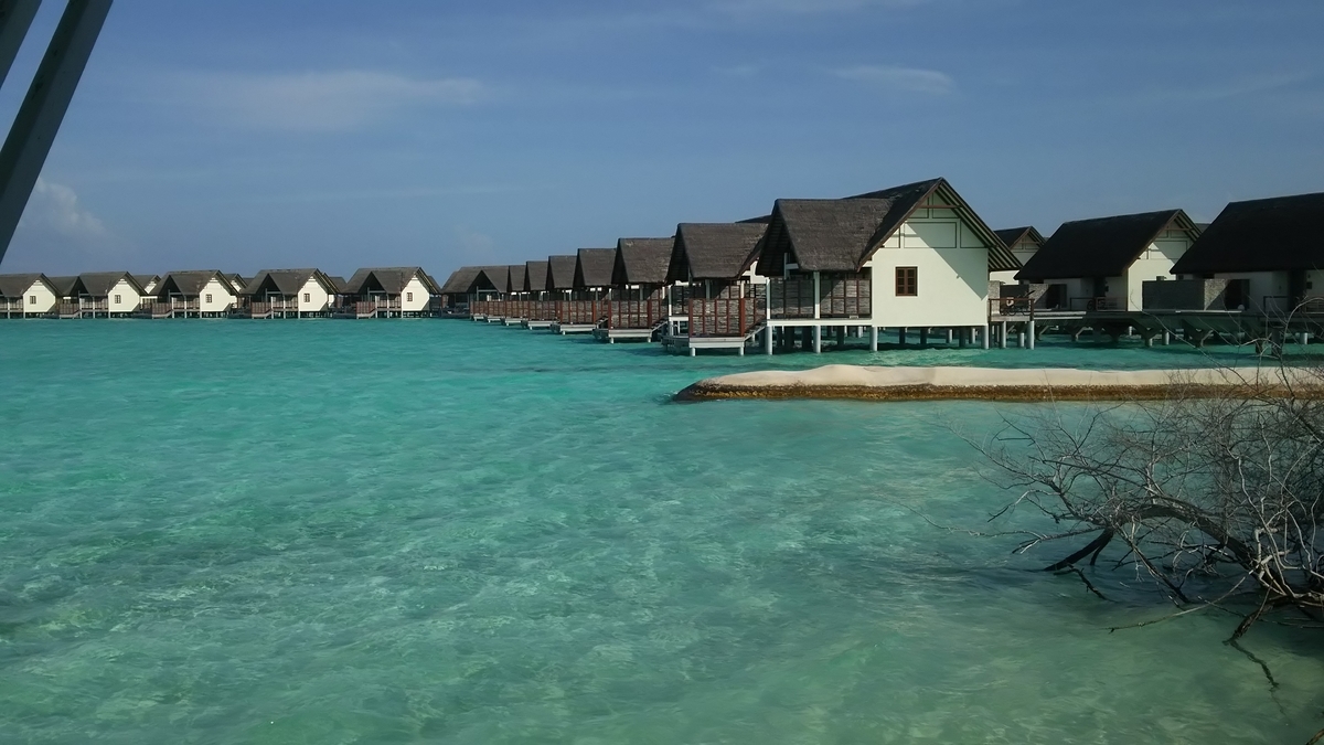 f:id:irukas980:20200322005812j:plain f:id:irukas980:20200322005812j:plain