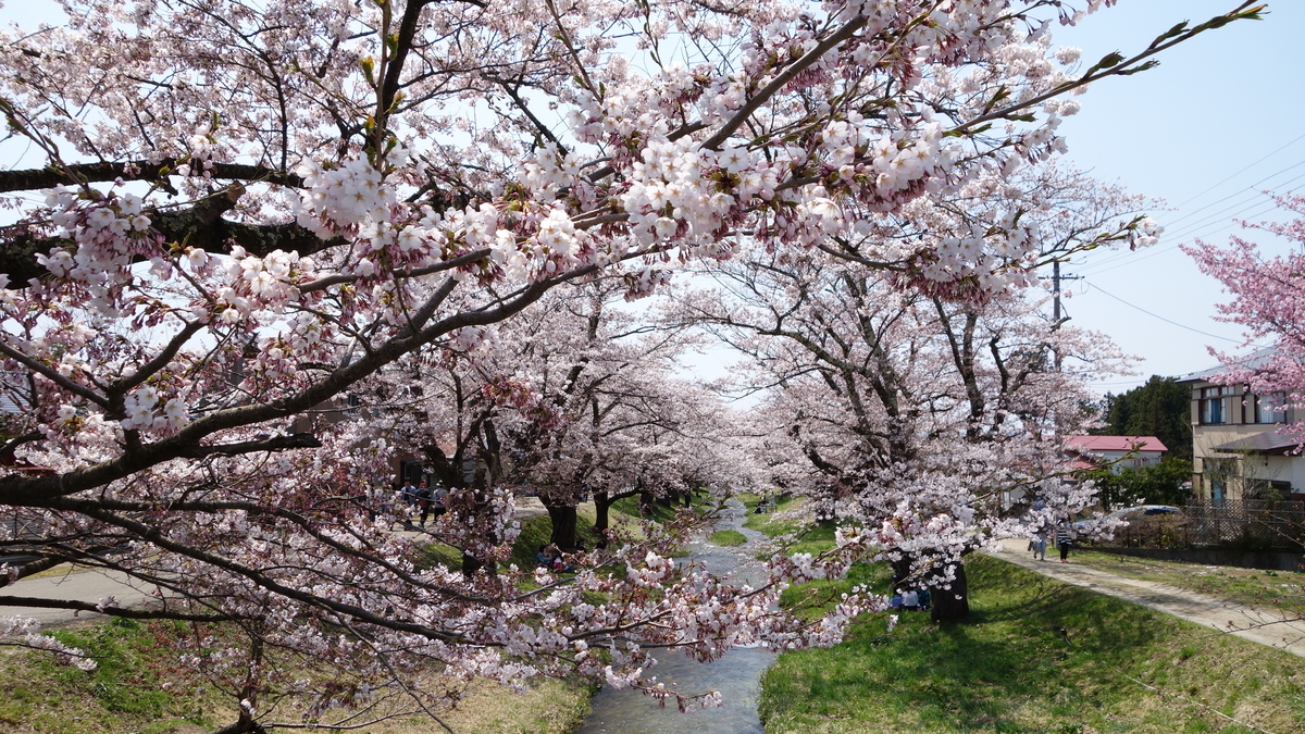 f:id:irukas980:20200329000326j:plain