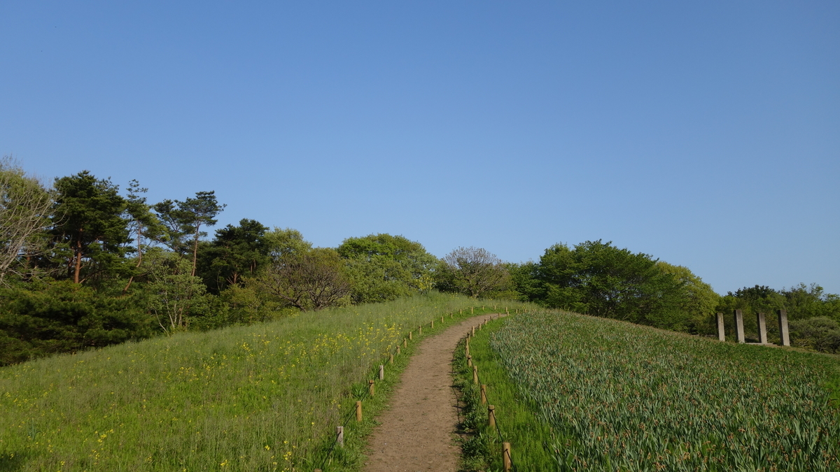 f:id:irukas980:20200329004220j:plain