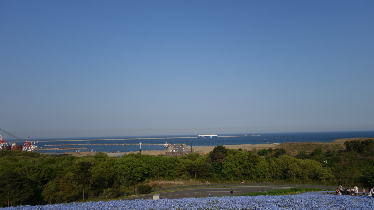 f:id:irukas980:20200329005449j:plain