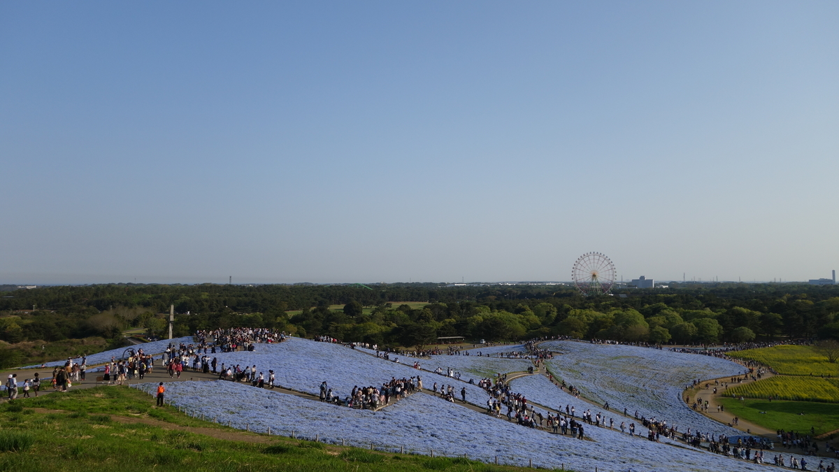 f:id:irukas980:20200329005538j:plain