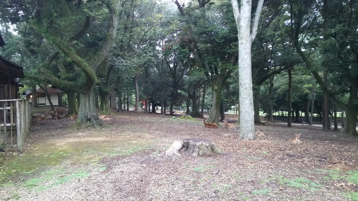 f:id:irukas980:20200419235336j:plain