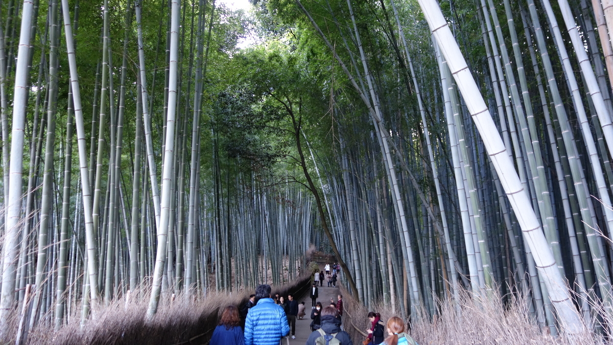 f:id:irukas980:20200425141358j:plain