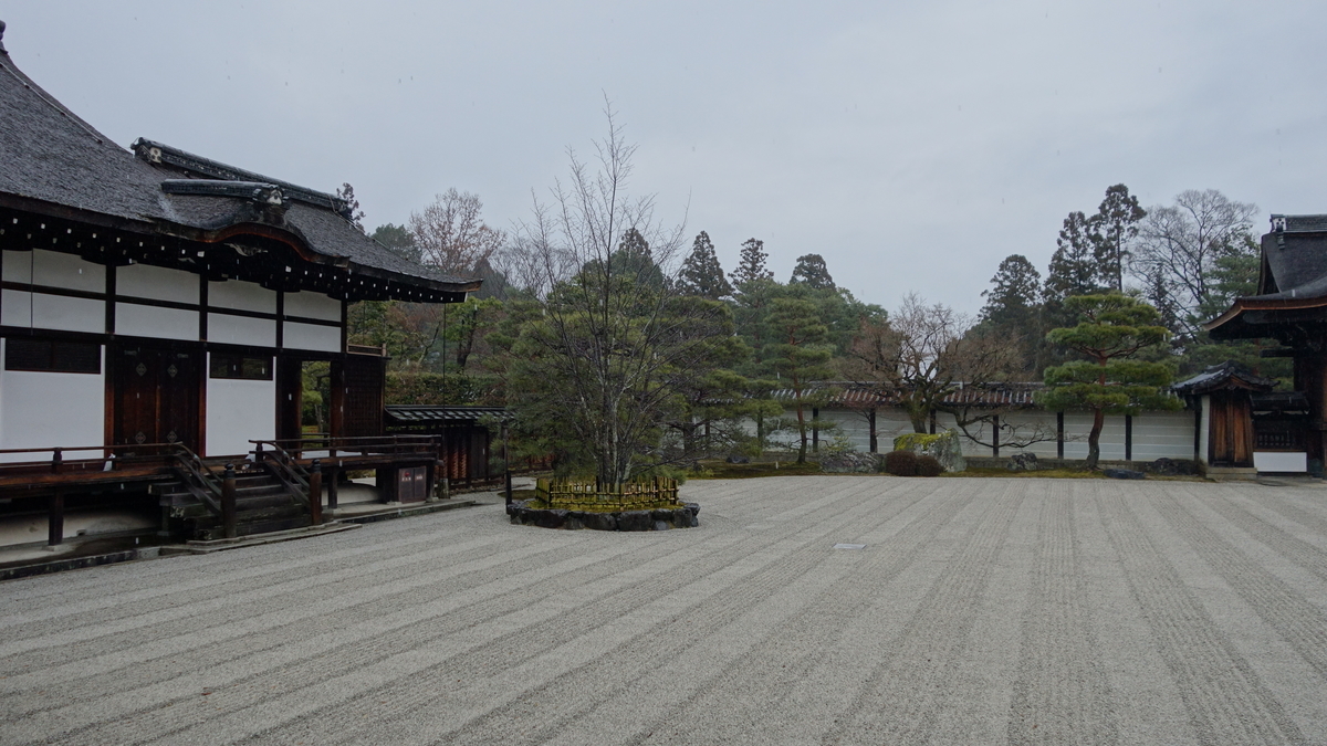 f:id:irukas980:20200425180341j:plain