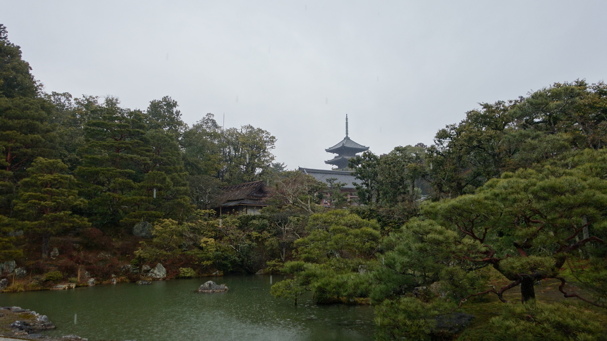 f:id:irukas980:20200425180523j:plain