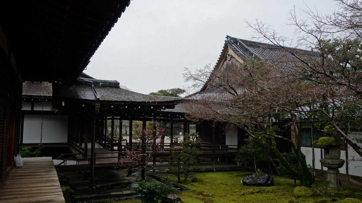 f:id:irukas980:20200425180617j:plain