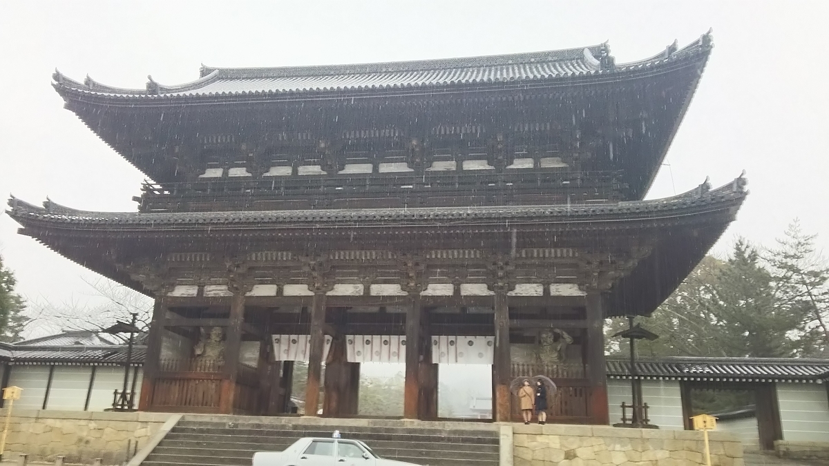 f:id:irukas980:20200425180847j:plain