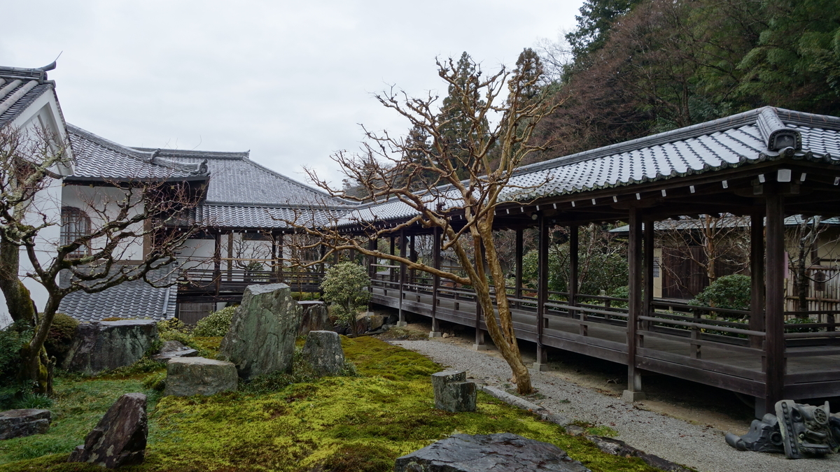 f:id:irukas980:20200506160057j:plain