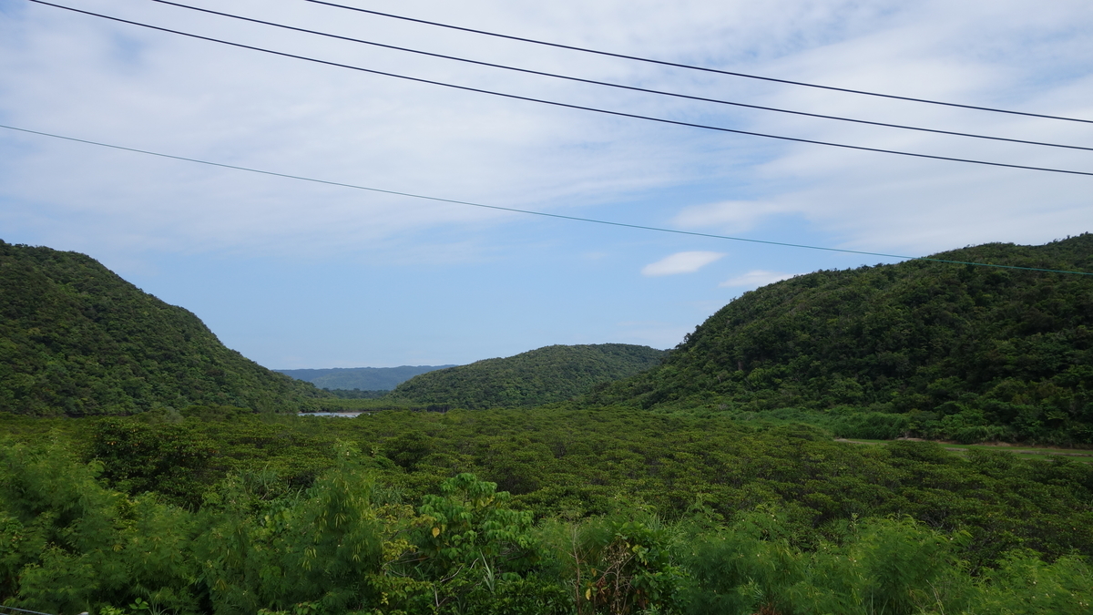 f:id:irukas980:20200518223017j:plain f:id:irukas980:20200518223017j:plain