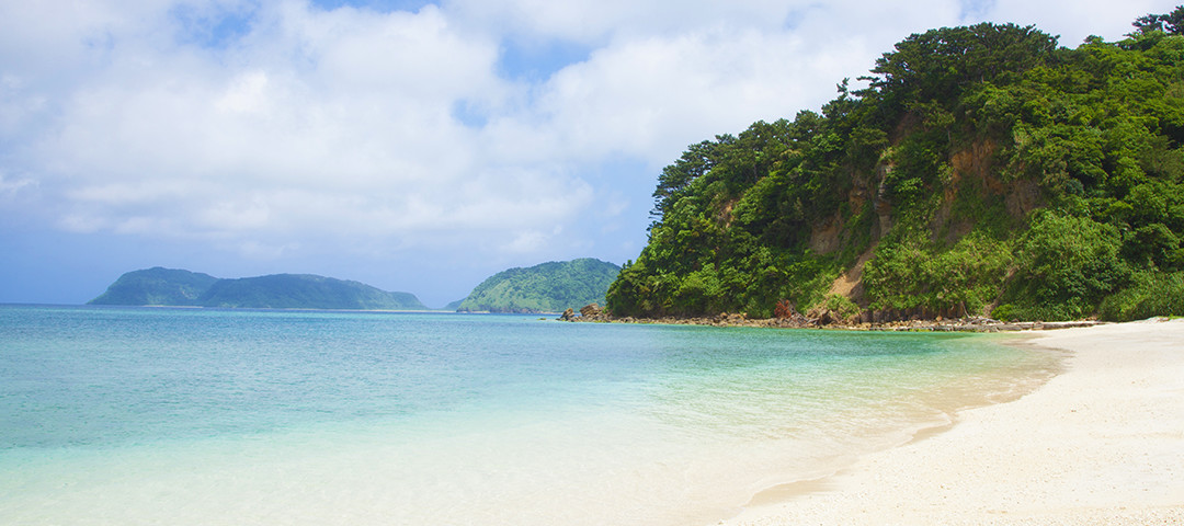 f:id:irukas980:20200518223504j:plain f:id:irukas980:20200518223504j:plain