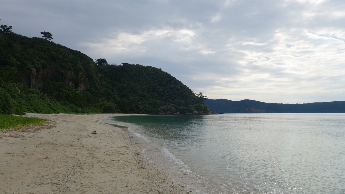 f:id:irukas980:20200518223841j:plain f:id:irukas980:20200518223841j:plain