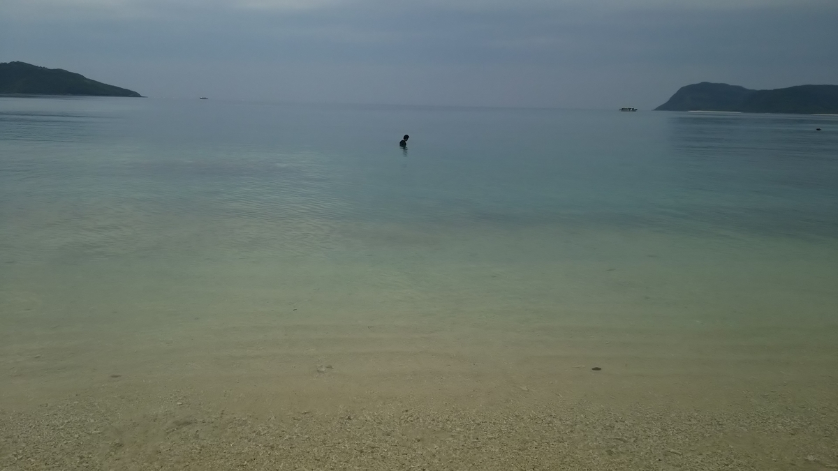 f:id:irukas980:20200518224454j:plain f:id:irukas980:20200518224454j:plain