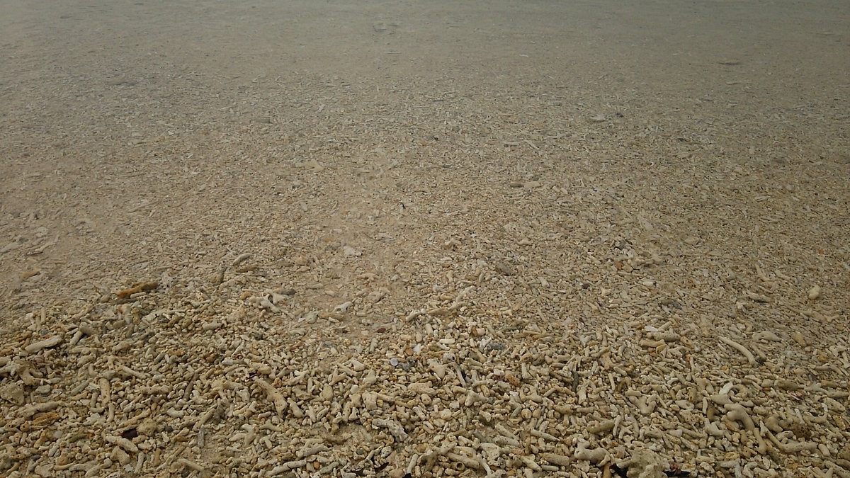 f:id:irukas980:20200518224621j:plain f:id:irukas980:20200518224621j:plain