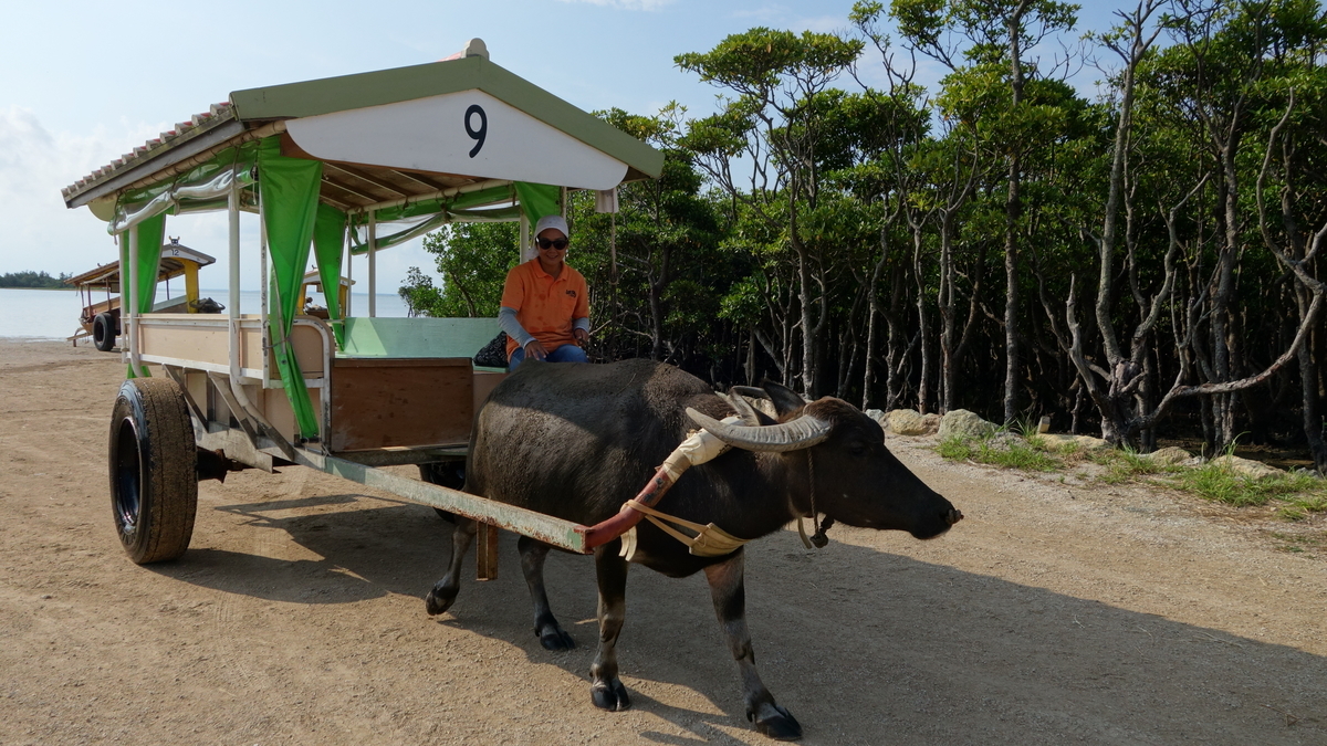 f:id:irukas980:20200518225317j:plain f:id:irukas980:20200518225317j:plain