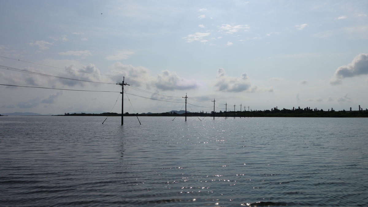 f:id:irukas980:20200518230139j:plain f:id:irukas980:20200518230139j:plain