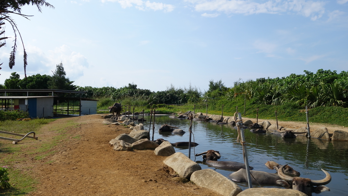 f:id:irukas980:20200518230648j:plain f:id:irukas980:20200518230648j:plain