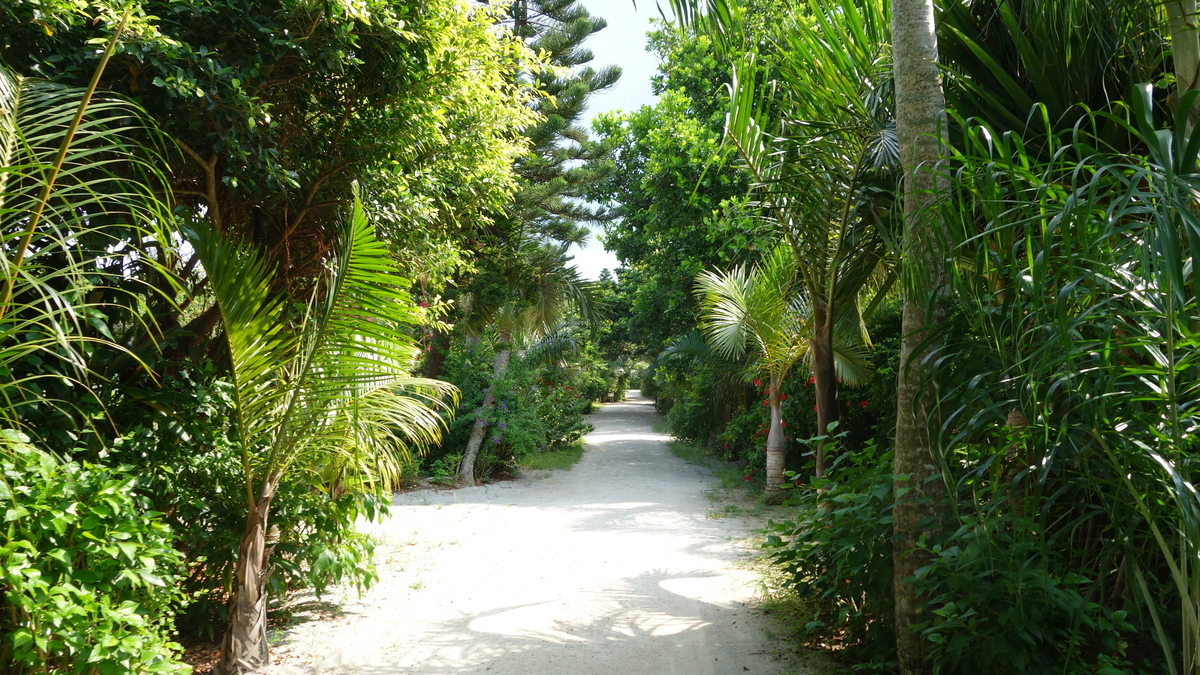 f:id:irukas980:20200518231246j:plain f:id:irukas980:20200518231246j:plain