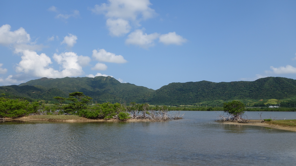 f:id:irukas980:20200518231425j:plain f:id:irukas980:20200518231425j:plain