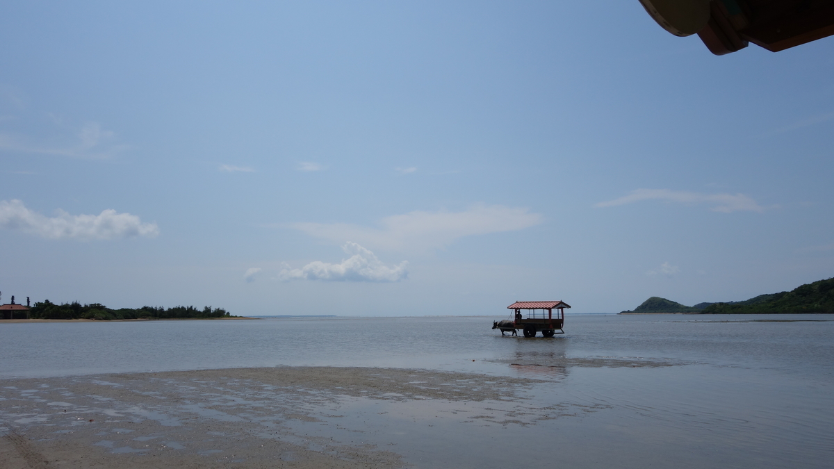 f:id:irukas980:20200518231743j:plain f:id:irukas980:20200518231743j:plain