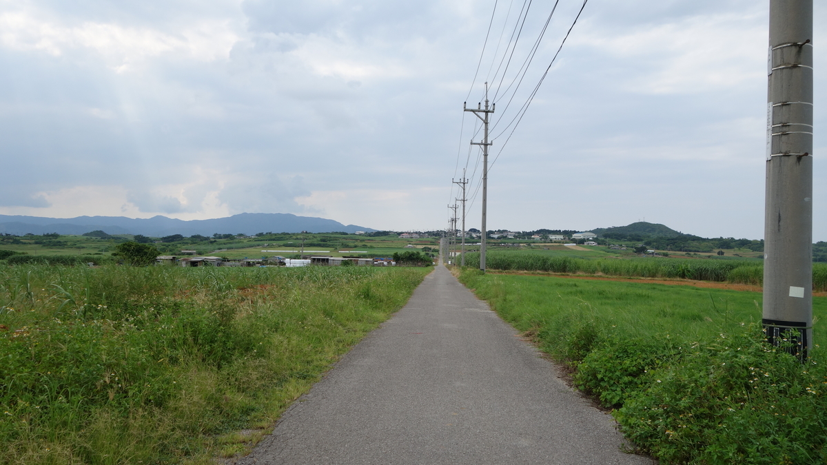 f:id:irukas980:20200519235735j:plain f:id:irukas980:20200519235735j:plain