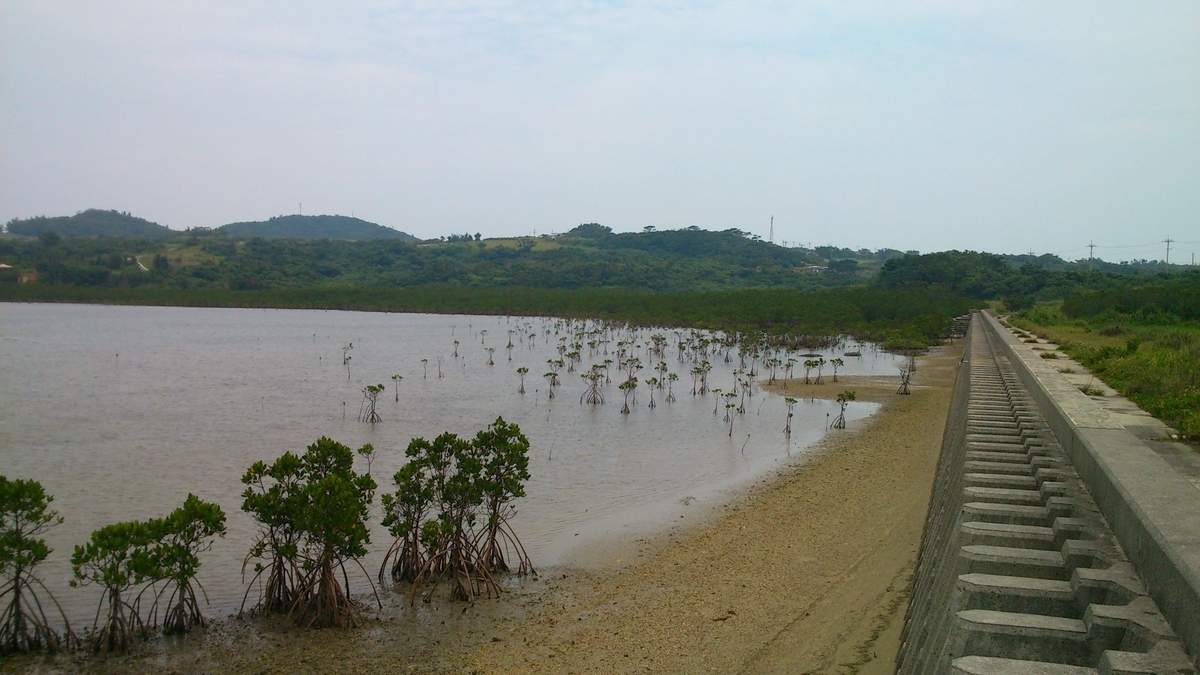 f:id:irukas980:20200520010145j:plain f:id:irukas980:20200520010145j:plain