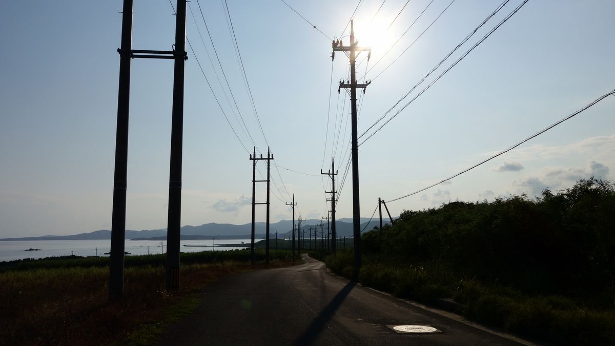 f:id:irukas980:20200520011247j:plain f:id:irukas980:20200520011247j:plain