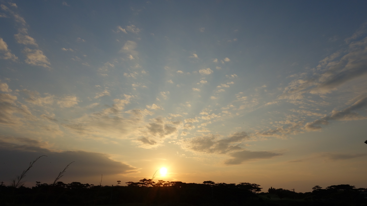 f:id:irukas980:20200520011616j:plain f:id:irukas980:20200520011616j:plain