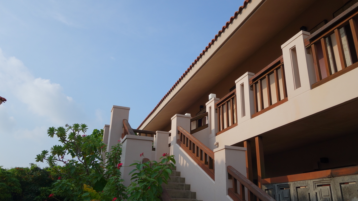 f:id:irukas980:20200520223414j:plain f:id:irukas980:20200520223414j:plain