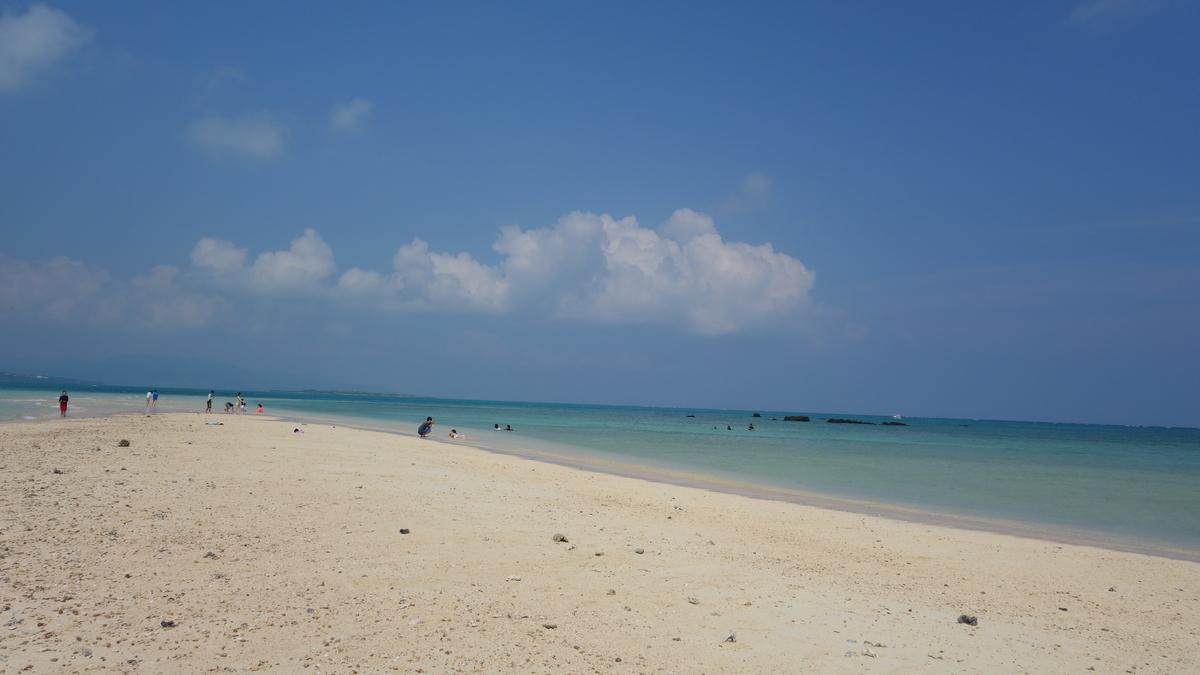 f:id:irukas980:20200520224643j:plain f:id:irukas980:20200520224643j:plain