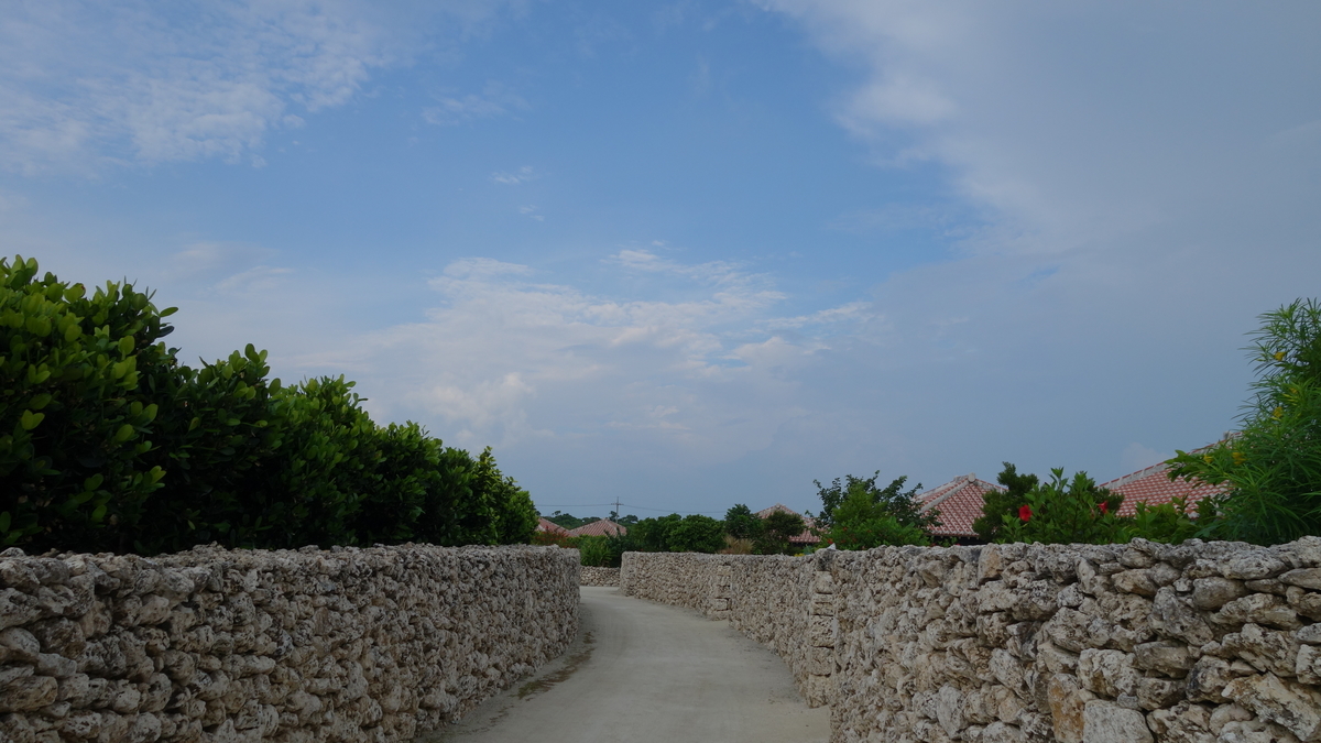 f:id:irukas980:20200528233208j:plain
