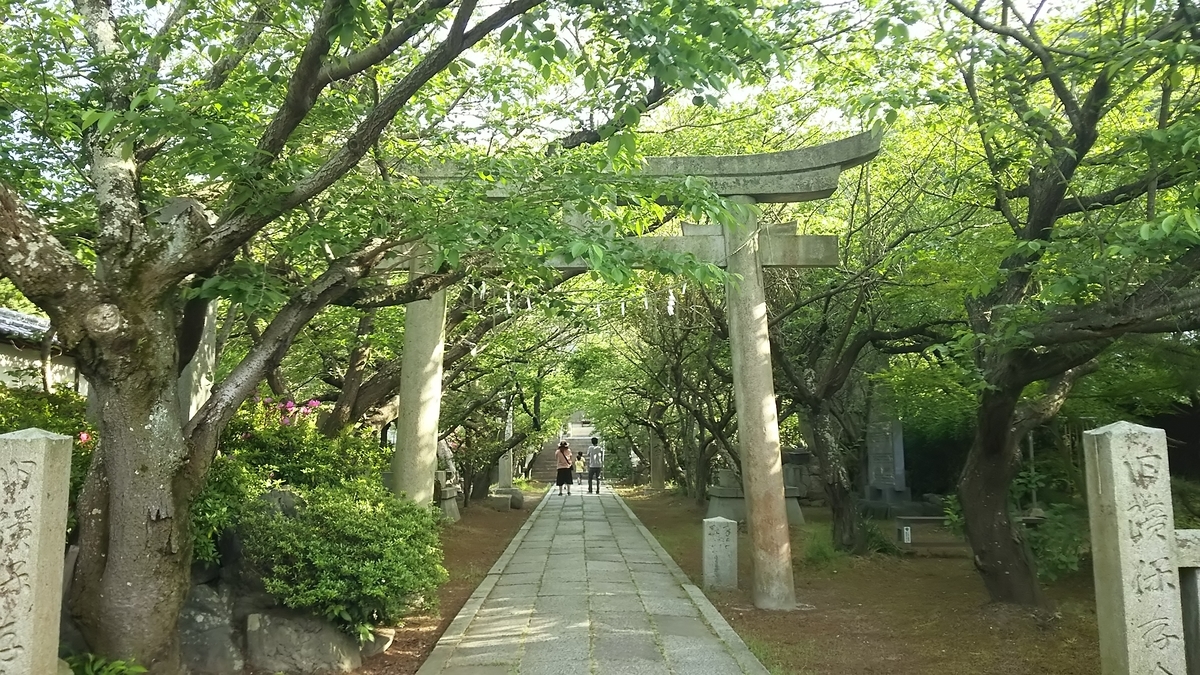 f:id:irukas980:20200705011248j:plain