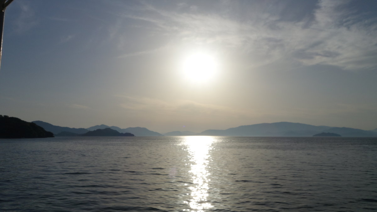 f:id:irukas980:20200705012659j:plain