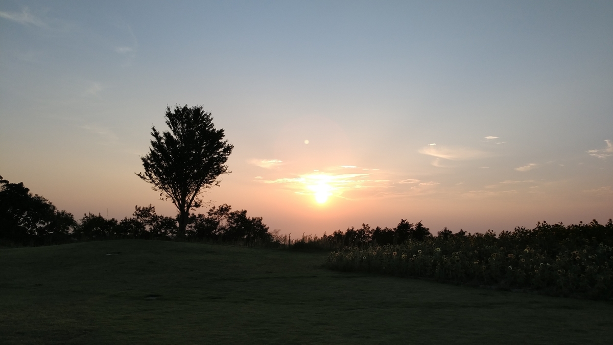 f:id:irukas980:20200816101658j:plain f:id:irukas980:20200816101658j:plain