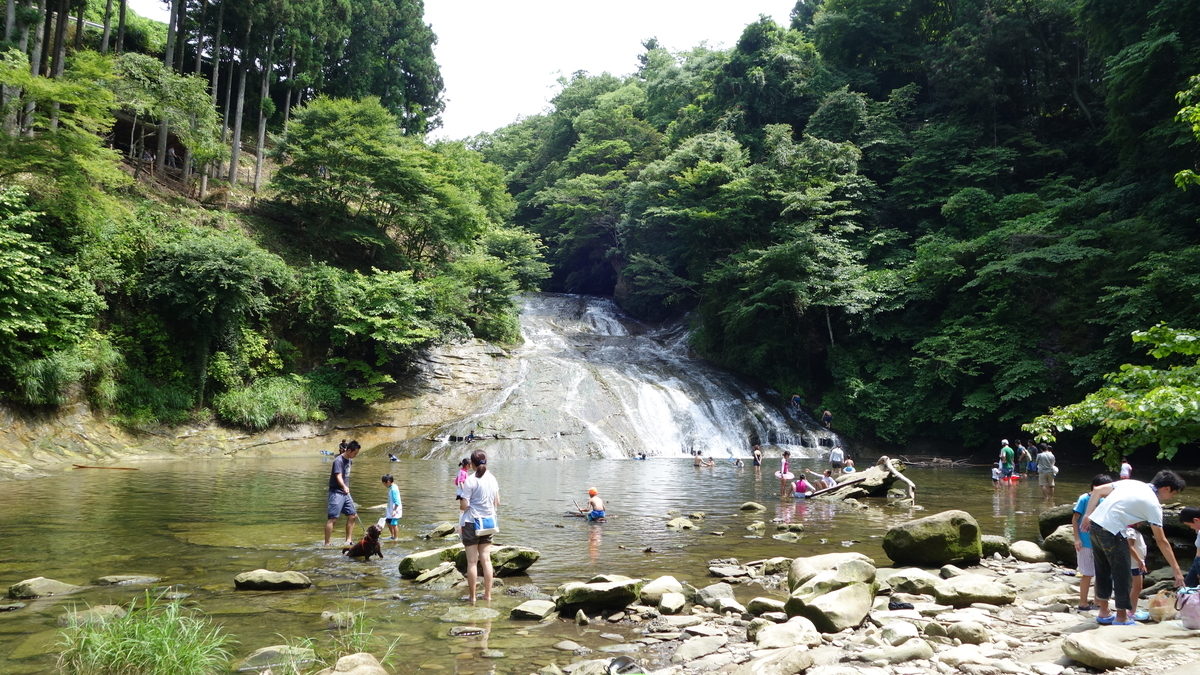 f:id:irukas980:20200816110721j:plain f:id:irukas980:20200816110721j:plain