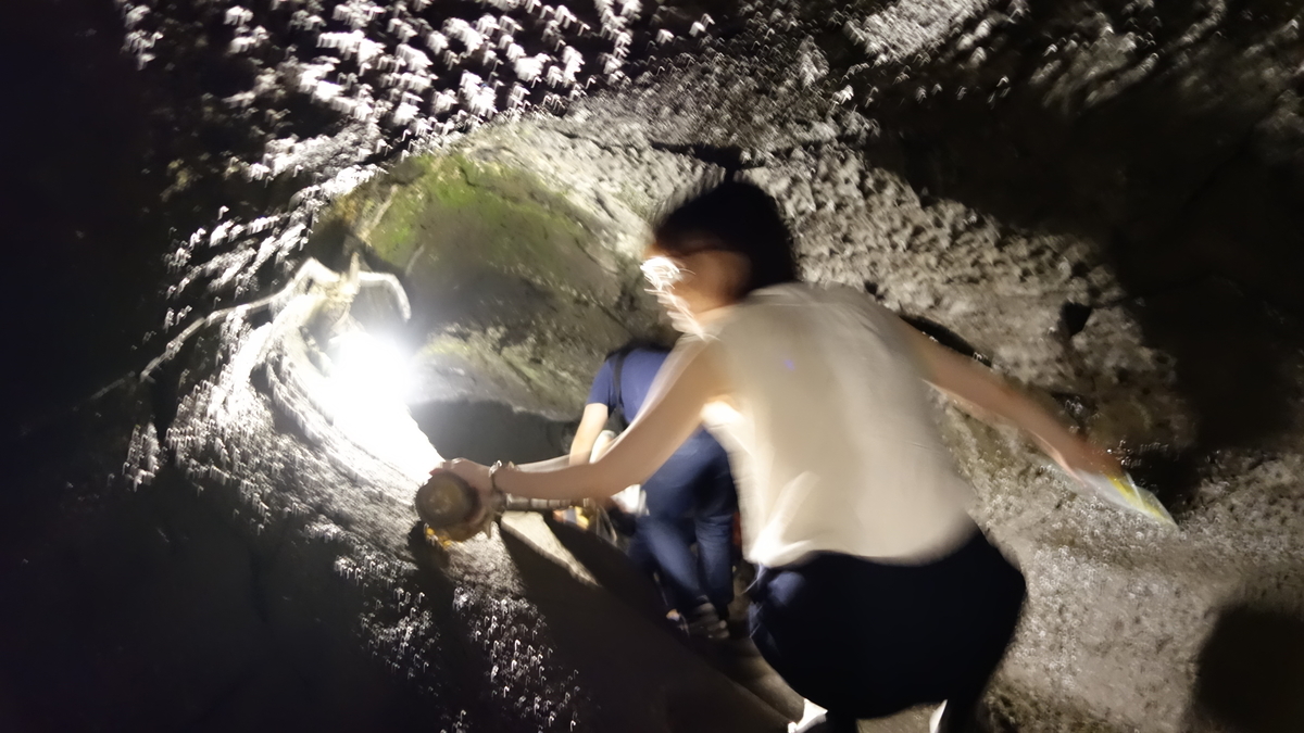 f:id:irukas980:20200902230637j:plain f:id:irukas980:20200902230637j:plain