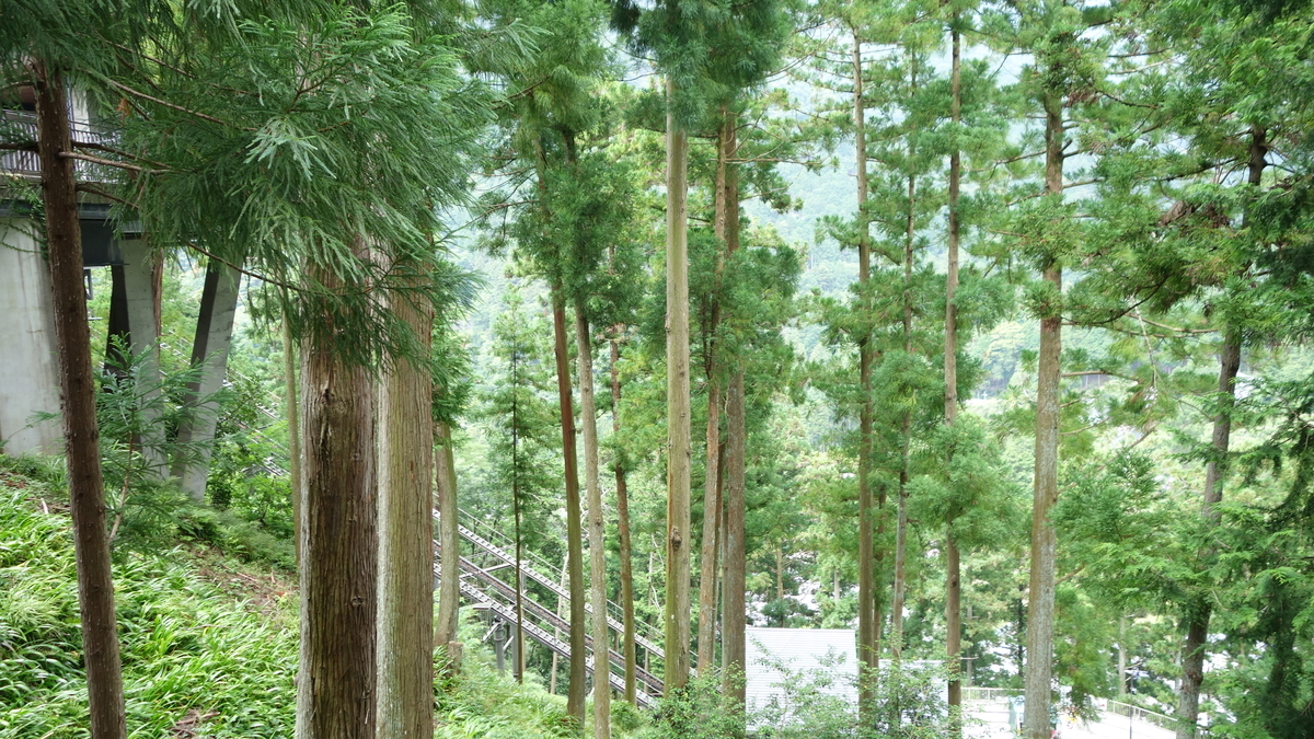 f:id:irukas980:20200902231158j:plain f:id:irukas980:20200902231158j:plain