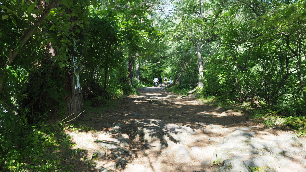 f:id:irukas980:20200912102703j:plain