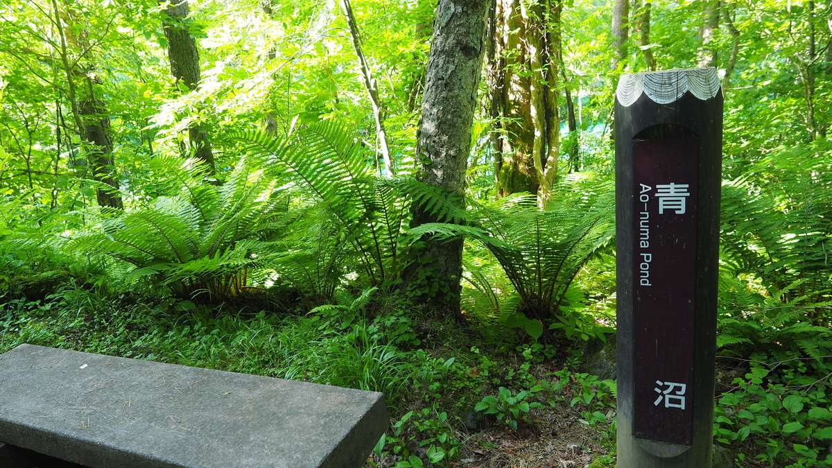 f:id:irukas980:20200912102912j:plain