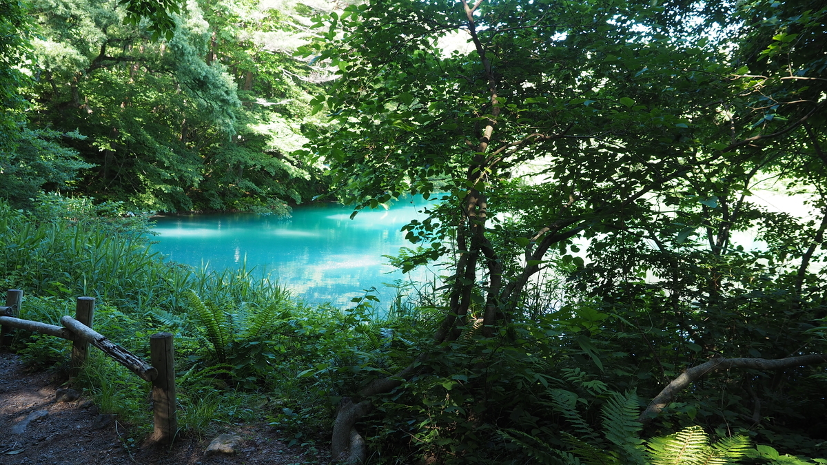 f:id:irukas980:20200912103057j:plain