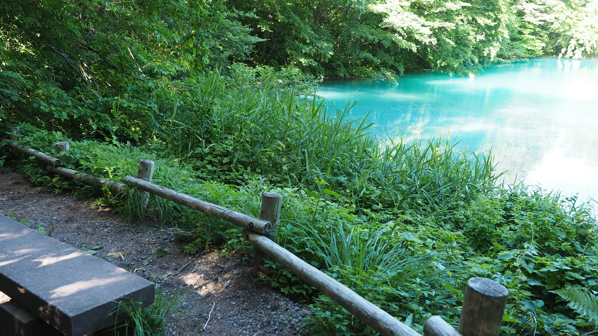 f:id:irukas980:20200912103138j:plain