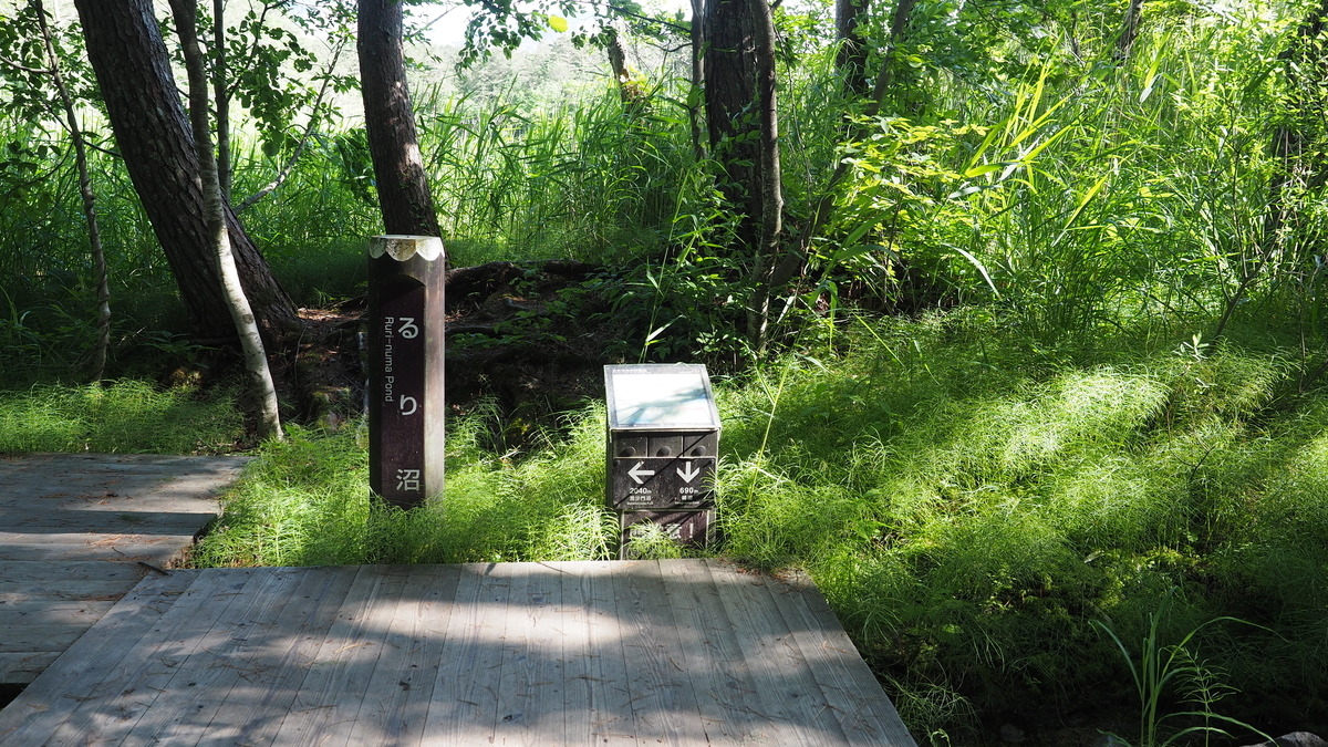 f:id:irukas980:20200912103346j:plain