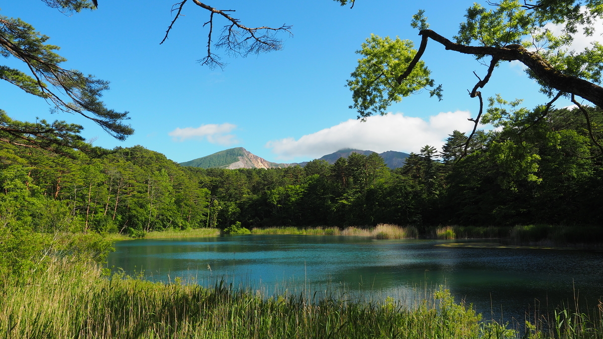 f:id:irukas980:20200912103457j:plain