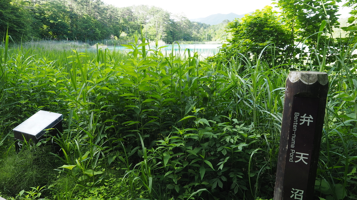 f:id:irukas980:20200912103641j:plain