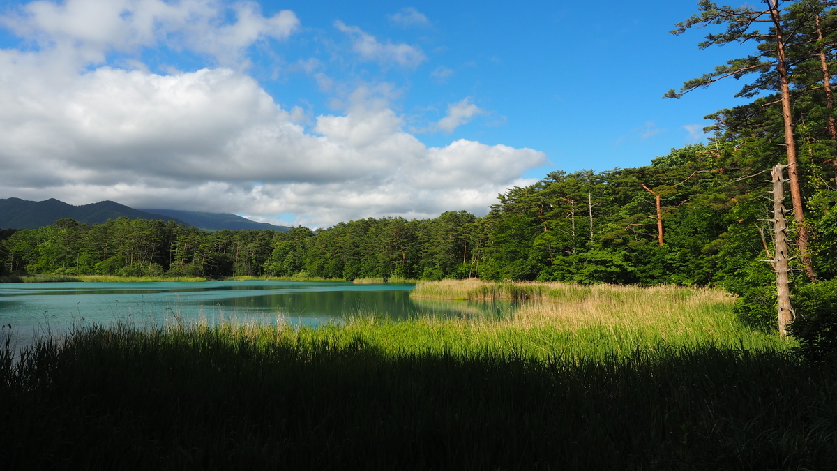 f:id:irukas980:20200912103738j:plain