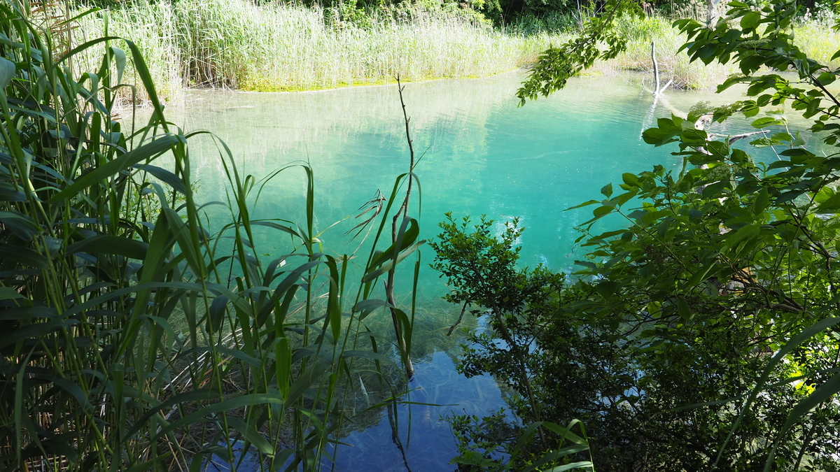 f:id:irukas980:20200912103858j:plain