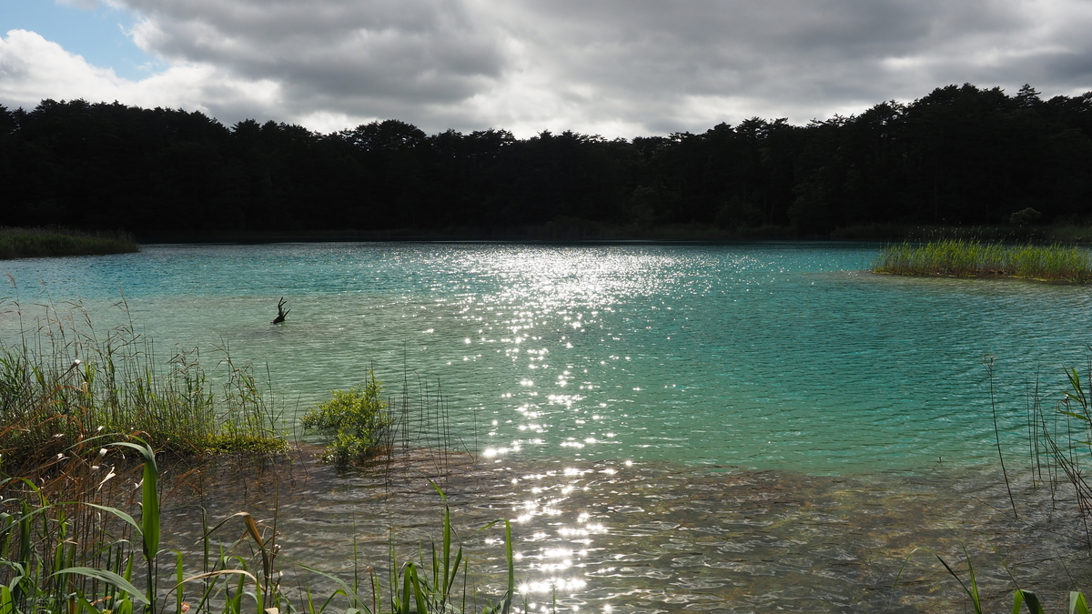 f:id:irukas980:20200912104015j:plain