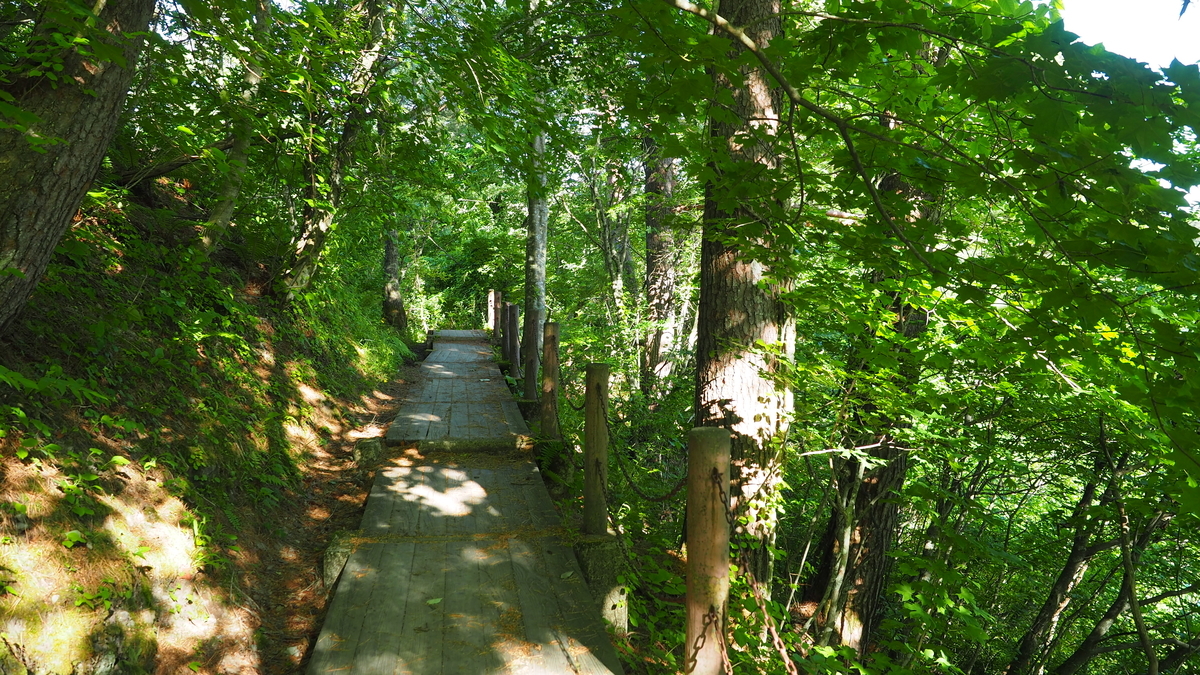 f:id:irukas980:20200912104405j:plain