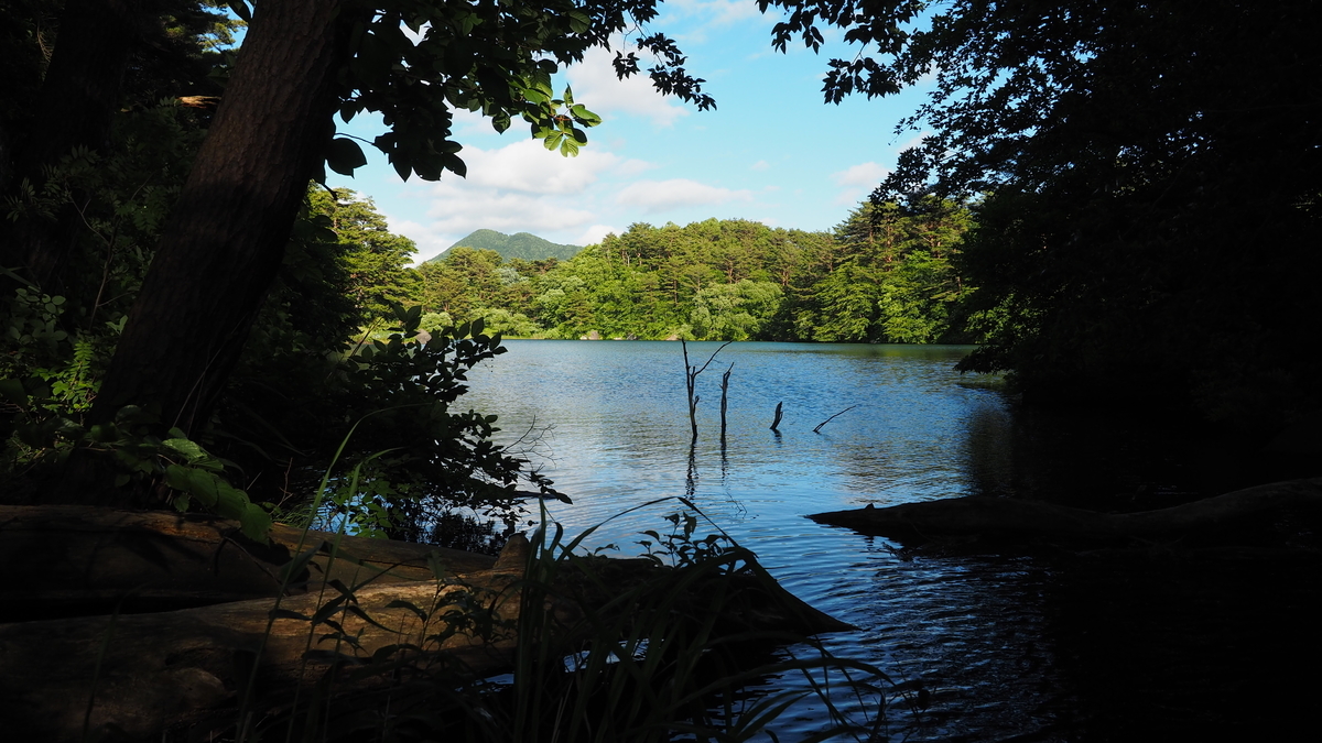 f:id:irukas980:20200912104707j:plain