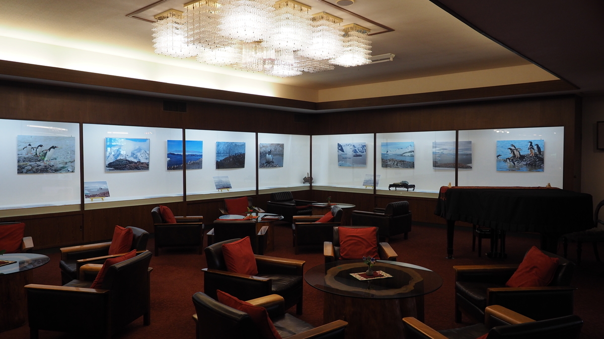 f:id:irukas980:20201028000040j:plain f:id:irukas980:20201028000040j:plain